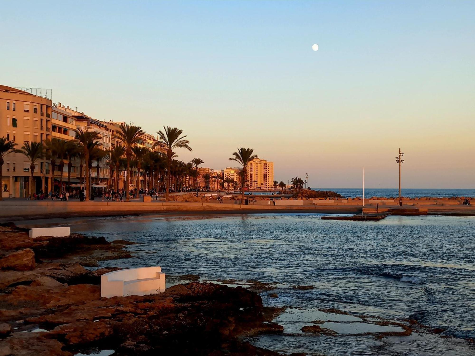 Hola Torrevieja Lejlighed Eksteriør billede
